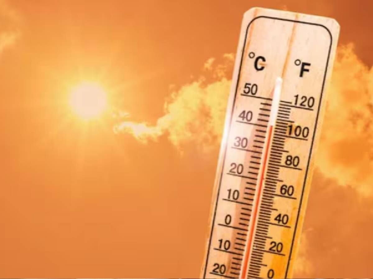 गर्मियों में बिल्कुल न पिएं कोल्ड ड्रिंक और चाय-कॉफी से परहेज; केंद्र ने किया अलर्ट