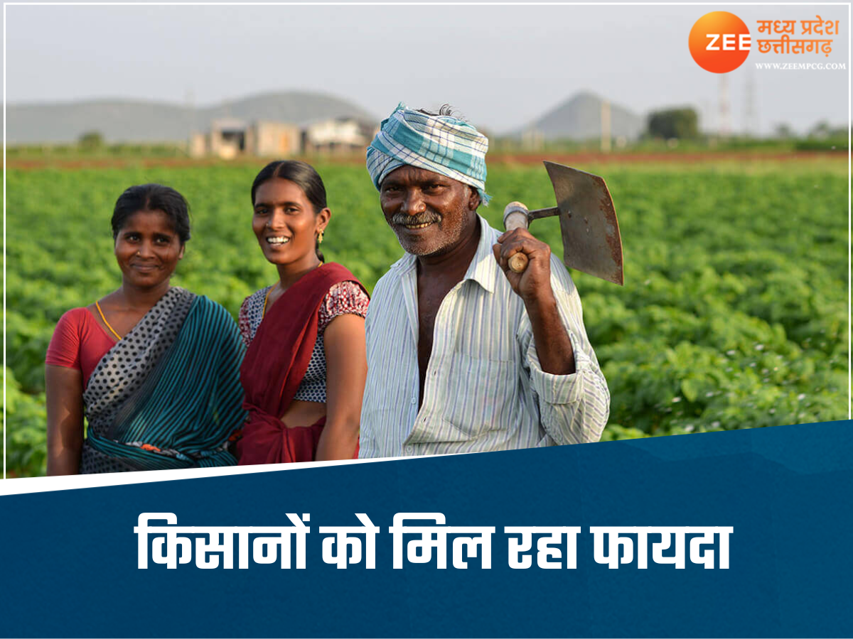MP के किसानों की बल्ले-बल्ले, 4 फसलों पर मिलेगी MSP, आएगा पैसा ही पैसा MP के किसानों की बल्ले-बल्ले, 4 फसलों पर मिलेगी MSP, आएगा पैसा ही पैसा