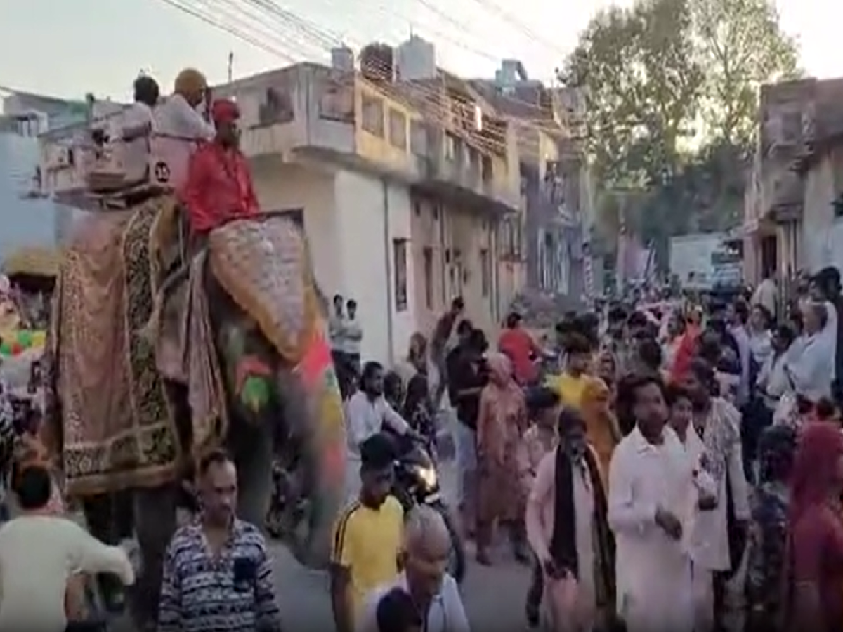 Rajasthan News: हाथी-घोड़े और बैंड बाजे के साथ निकली शव यात्रा, यूपी-दिल्ली समेत कई राज्यों से आए लोग Rajasthan News: हाथी-घोड़े और बैंड बाजे के साथ निकली शव यात्रा, यूपी-दिल्ली समेत कई राज्यों से आए लोग