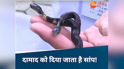 ना सोने-चांदी ना कैश, यहां दहेज के नाम पर ऐश करने के लिए दिए जाते हैं जहरीले सांप!