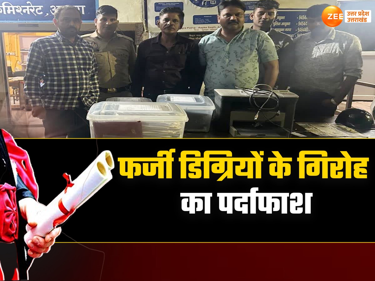 STF arrested accused of fake marksheet gang