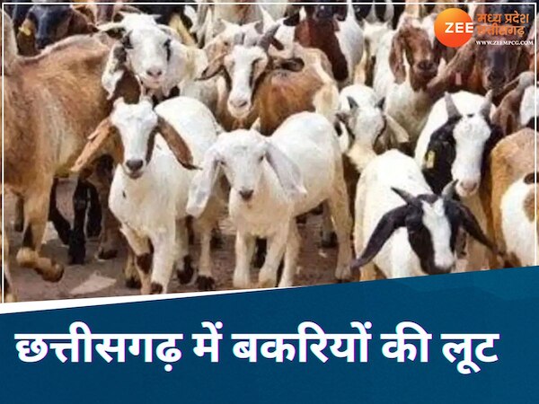 फाइल फोटो