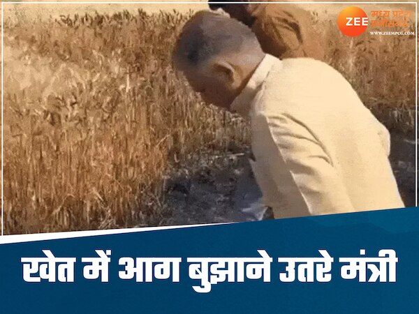 किसान की फसल में लगी आग, तो मंत्री ने संभाला मोर्चा, काफिला रोककर बुझाने खेत में उतरे 