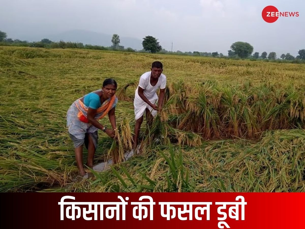 तेलंगाना: बेमौसम बारिश, ओले और तेज हवाओं ने किसानों को किया 'बर्बाद', पानी में तैर रही हैं तैयार फसलें
