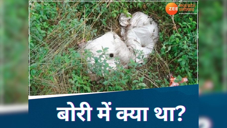Bhopal: बोरी से आ रही थी रोने की आवाज, फिर अंदर से जो निकला... सुनकर कांप जाएगी रूह!
