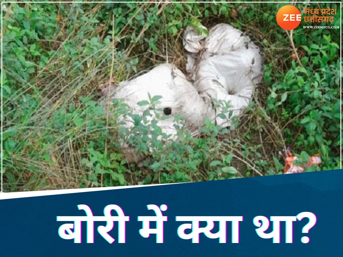 Bhopal: बोरी से आ रही थी रोने की आवाज, फिर अंदर से जो निकला... सुनकर कांप जाएगी रूह! Bhopal: बोरी से आ रही थी रोने की आवाज, फिर अंदर से जो निकला... सुनकर कांप जाएगी रूह!