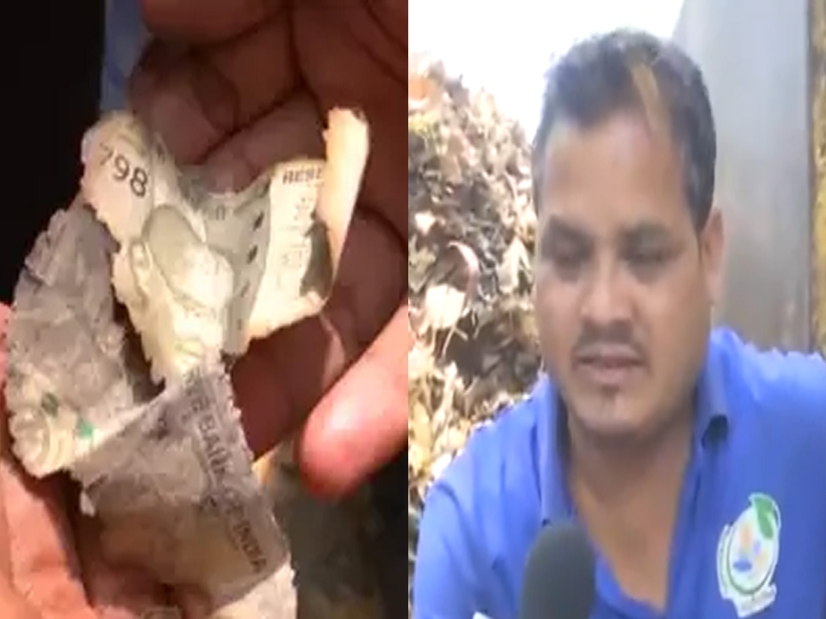 जस्टिस वर्मा के घर पर ही नहीं, बाहर कूड़े में भी मिले जले-कटे नोट, सफाई कर्मचारियों ने दिखाया VIDEO