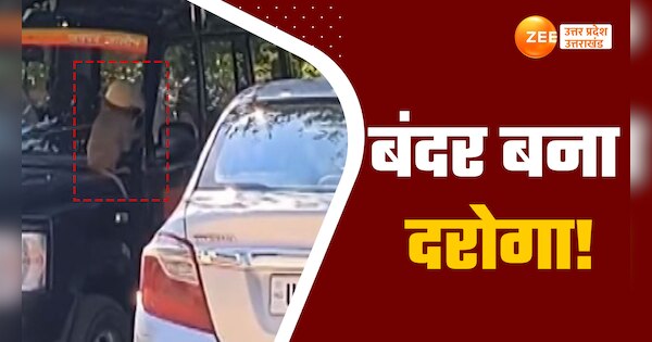 jalaun monkey wearing police cap became police inspector watch this ...