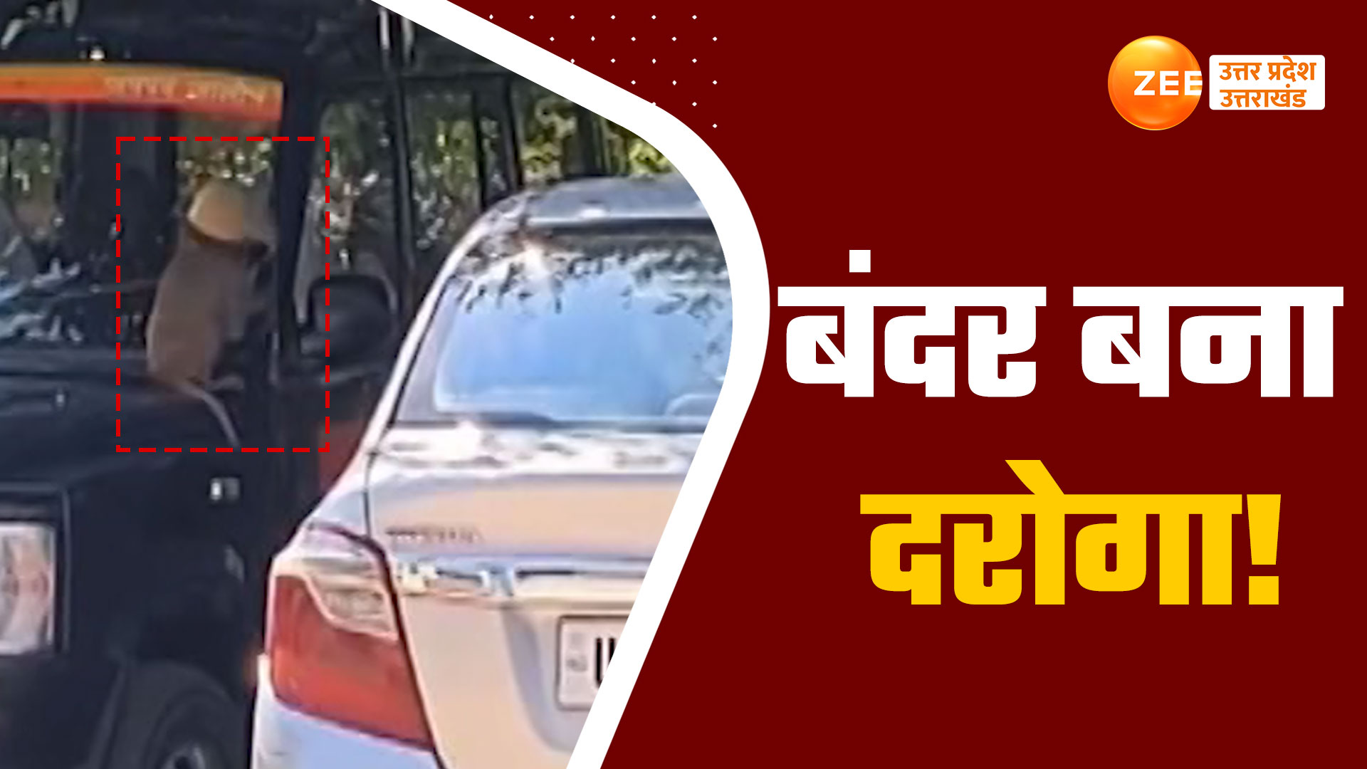 jalaun monkey wearing police cap became police inspector watch this ...