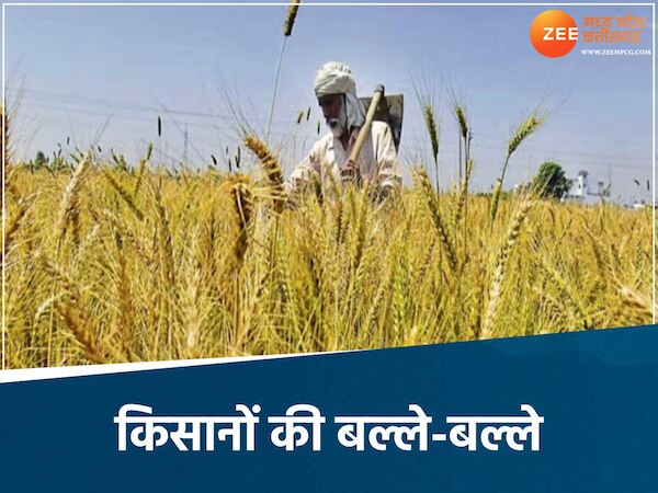 मध्य प्रदेश की खबरें 