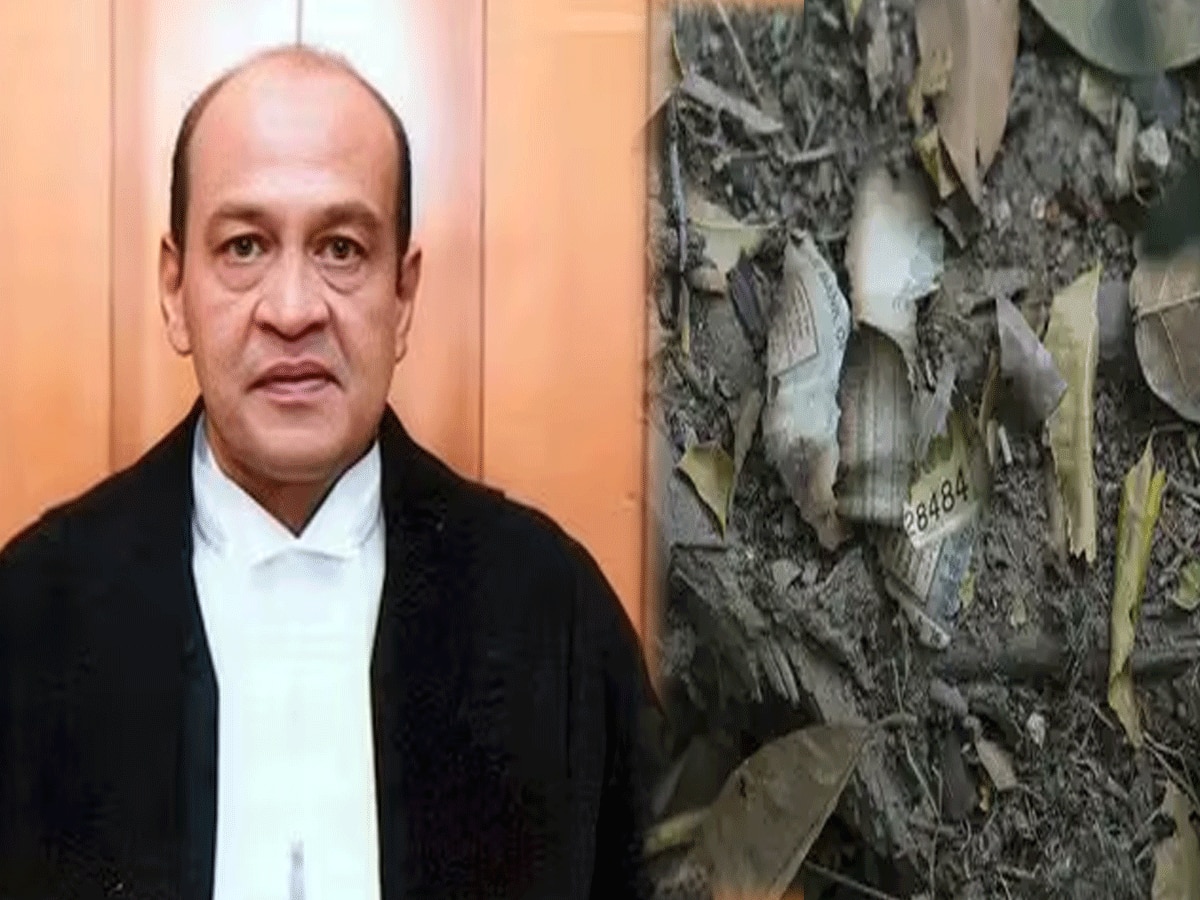 वकीलों के विरोध के बाद भी कॉलेजियम ने की सिफारिश, जस्टिस यशवंत वर्मा जाएंगे इलाहाबाद हाईकोर्ट!