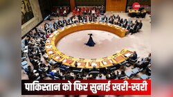 पूरी दुनिया के सामने फिर बेइज्जत हुआ PAK, कश्मीर के मुद्दे पर भारत ने लगा दी क्लास