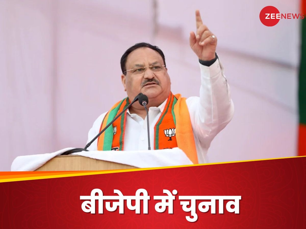 BJP President: तो क्‍या अप्रैल में जेपी नड्डा की जगह बीजेपी को मिलने जा रहा नया अध्‍यक्ष?