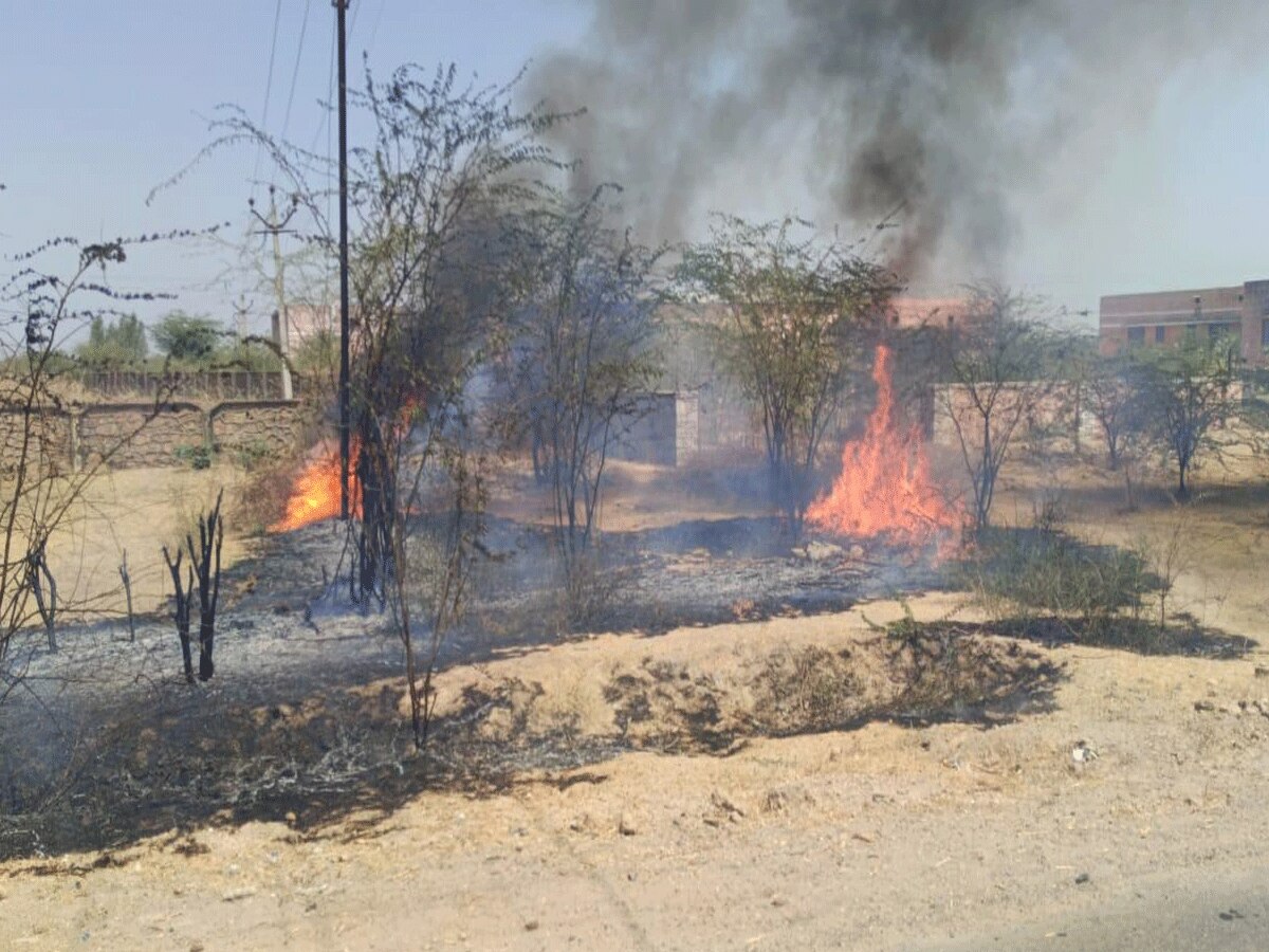 Pali News: रेलवे फाटक के पास बिजली ऑफिस के पास लगी आग, मची अफरा-तफरी Pali News: रेलवे फाटक के पास बिजली ऑफिस के पास लगी आग, मची अफरा-तफरी