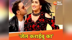 'जेल कराईबु का ऐ सुग्गी', निरहुआ और आम्रपाली दुबे की क्या बिगड़ गई केमिस्ट्री या...?