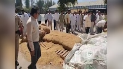 रोहतक में SDM ने की वेयर हाउस पर छापेमारी, 770 सरसों के बैग में मिली मिलावट