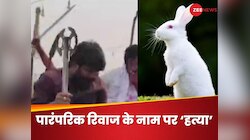 खरगोश का शिकार करके कंधे पर लाद दिखाया 'भौकाल', विधायक के परिवार की निकली हेकड़ी