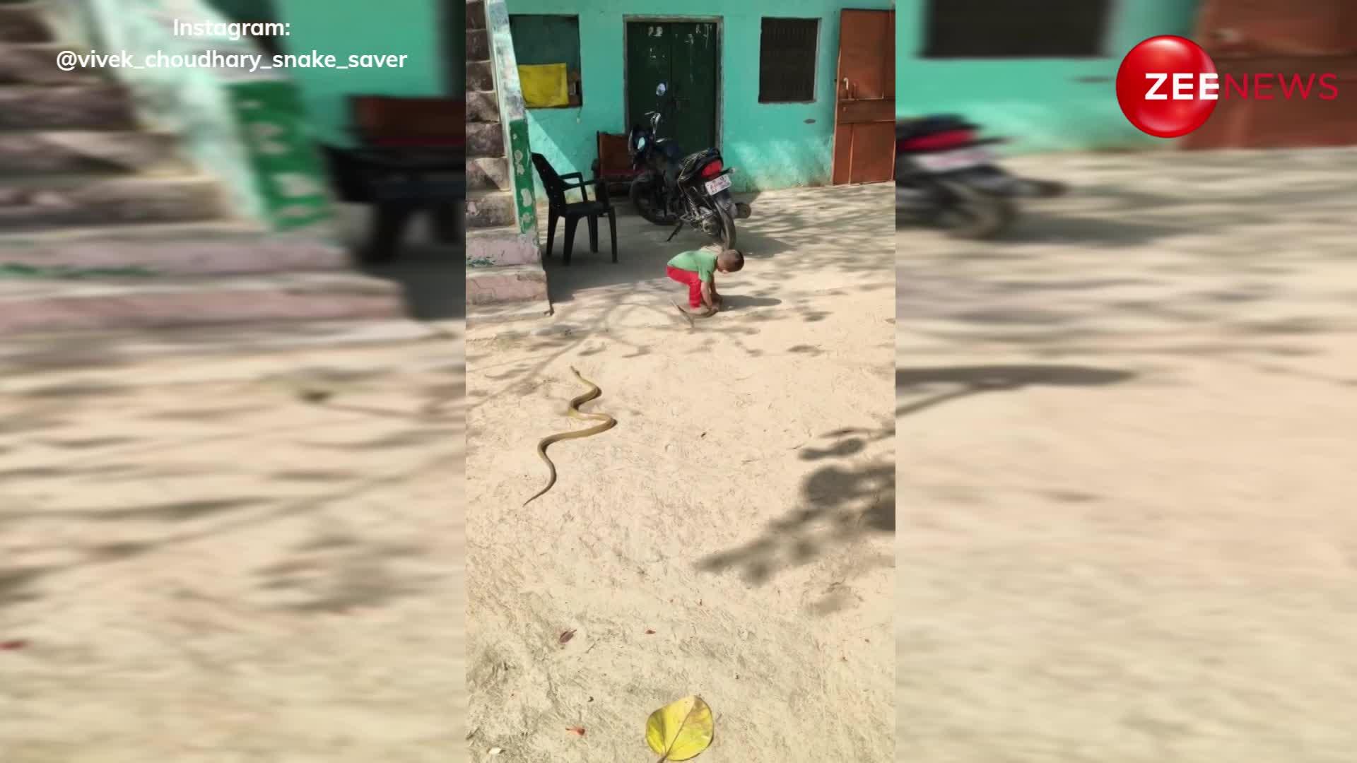 Little kid started playing with 2 snakes like rope shocking video goes ...