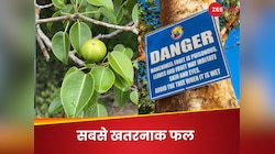 दुनिया के 5 सबसे 'जहरीले' फल, खाएंगे तो जान पर बन आएगी, मीलों की बना लें दूरी