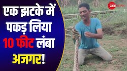 शख्स ने एक झटके में हाथ से पकड़ लिया 10 फीट लंबा खतरनाक अजगर, देखकर सन्न रह गए लोग!
