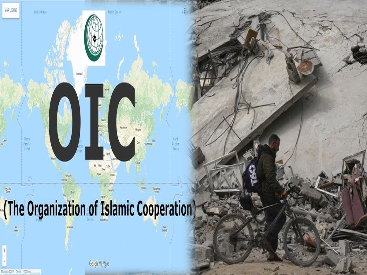 Pakistan ने OIC में उठाया गाजा सीजफायर का मुद्दा; हमास भी कर रहा यही मांग Pakistan ने OIC में उठाया गाजा सीजफायर का मुद्दा; हमास भी कर रहा यही मांग