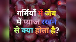जेब में प्याज रखने से नहीं लगती लू! क्या सच में कारगर है ये टोटक या सच्चाई कुछ और?