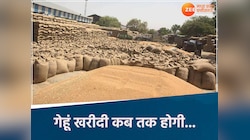 MP में इस तारीख तक MSP पर होगी गेहूं खरीदी, रजिस्ट्रेशन बंद