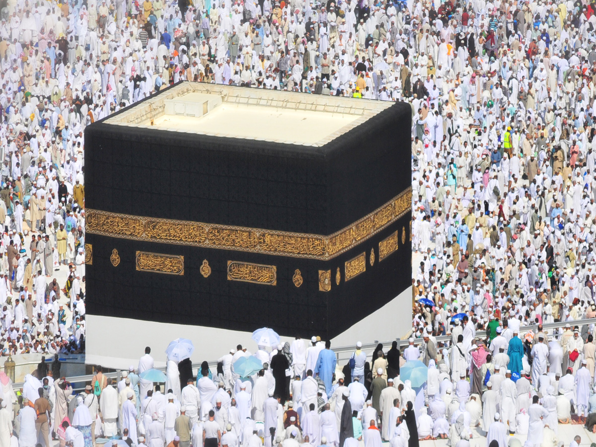 Hajj Quota: घटा नहीं, बढ़ा है भारतीय का हज कोटा; जाने, कौन तय करता है हज यात्रियों की संख्या? Hajj Quota: घटा नहीं, बढ़ा है भारतीय का हज कोटा; जाने, कौन तय करता है हज यात्रियों की संख्या?