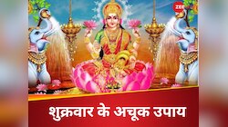धूप, अगरबत्ती, सुगंध के टोटके से घर धन से भर जाएगा, करें शुक्रवार के अचूक उपाय