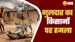 गुलदार ने किसानों पर किया हमला, जान बचाना पड़ा भारी, देखें Live Video