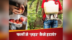 सेहतमंद फलों के नाम पर पेस्टिसाइड्स तो नहीं खा रहे आप? जानिए इस 'ज़हर' को कैसे हटाएं