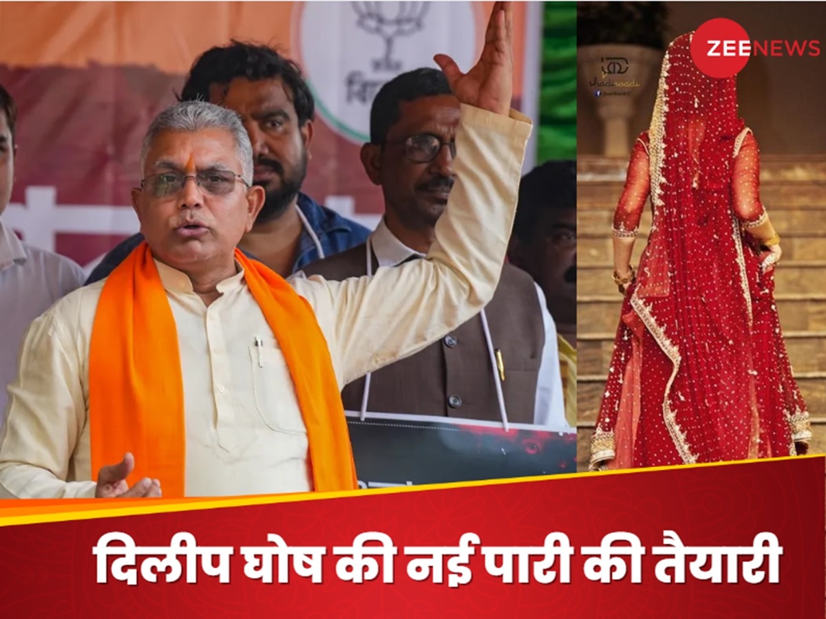 61 साल के बीजेपी दिग्गज.. करने जा रहे शादी, पार्टी में मिल गई पार्टनर; आखिर कौन है दुल्हनिया?