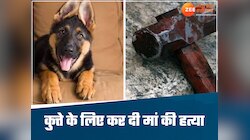 बेटे को मां-पत्नी से प्यारा था कुत्ता, जर्मन शेफर्ड के लिए कर दी मां की हत्या, जानें