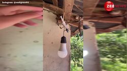 गजब दिमाग है चचा! बल्ब जलाने के लिए शख्स ने किया इनजेक्शन का इस्तेमाल, Viral Video देख दंग रह जाएंगे आप