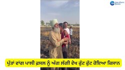 ਪੁੱਤਾਂ ਵਾਂਗ ਪਾਲੀ ਫ਼ਸਲ ਨੂੰ ਅੱਗ ਲੱਗੀ ਵੇਖ ਫੁੱਟ-ਫੁੱਟ ਰੋਇਆ ਕਿਸਾਨ