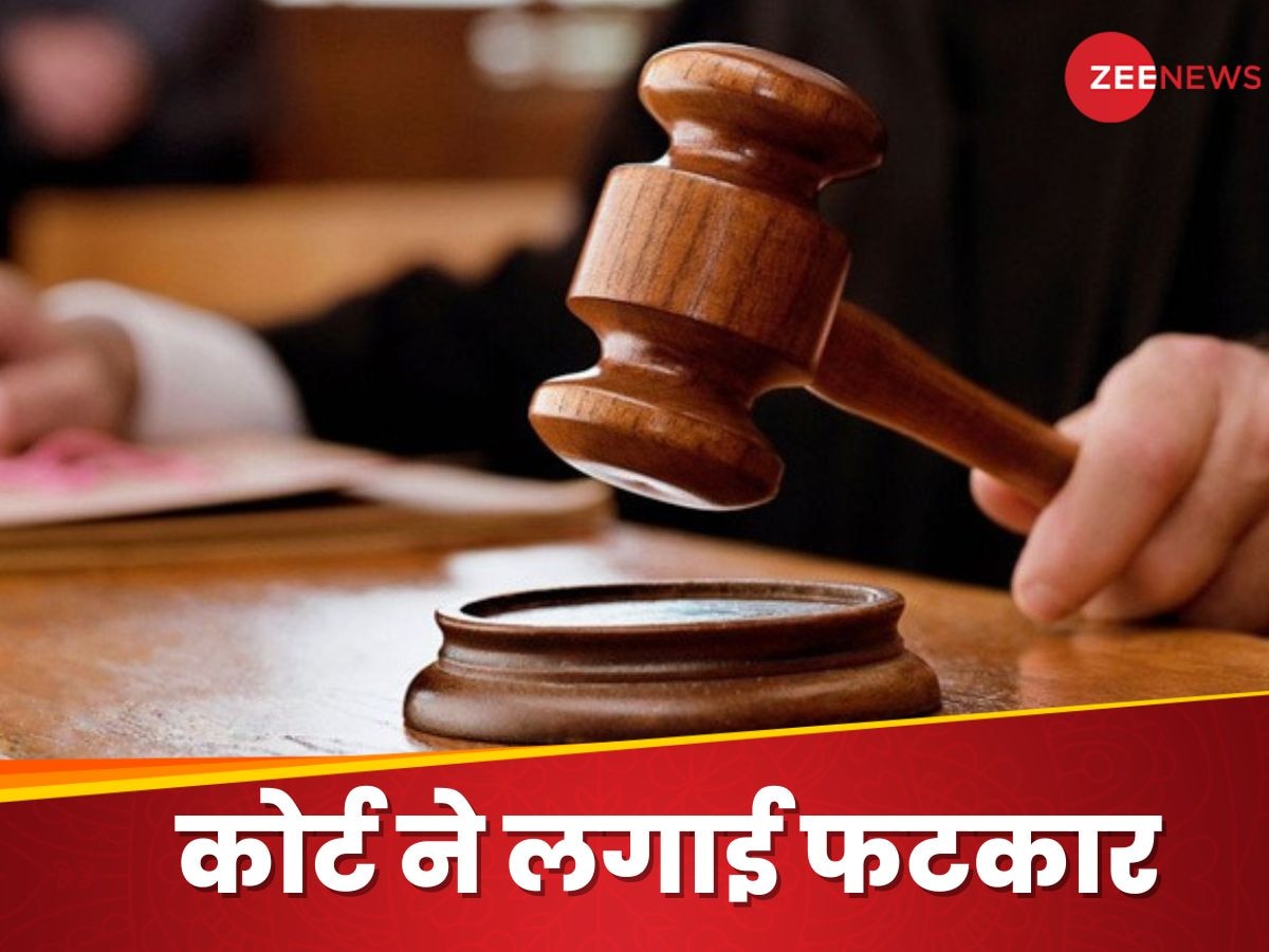 'राज्य में कानून का शासन है या बाहुबल का...', बॉम्बे हाईकोर्ट ने ऐसा क्यों पूछा?