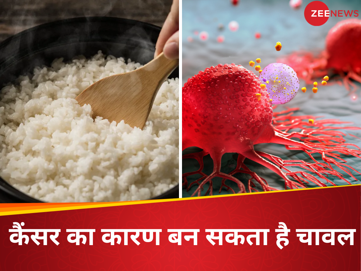 climate change making rice toxic for health millions of people are at ...