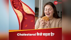 सब जानते हैं, फिर भी लापरवाही, 5 आदतों से जमीन से आसमान पर पहुंच जाता है कोलेस्ट्रॉल