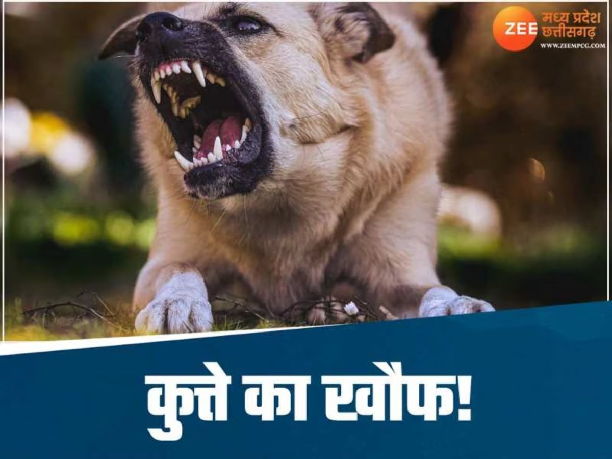 खंडवा में कुत्ते का आतंक