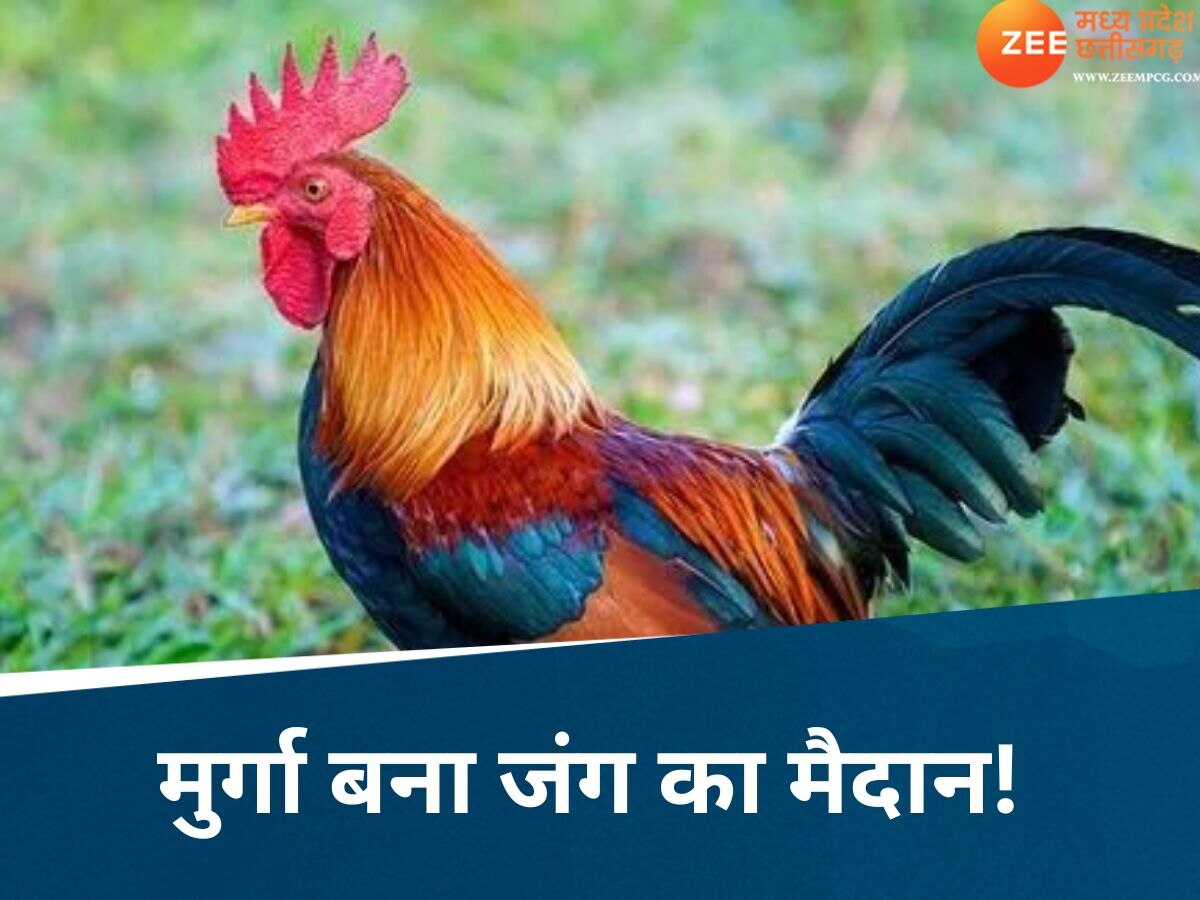 अरे बाप रे! फलदान की रस्म में मुर्गा नहीं मिला तो चले लाठी-डंडे! आपस में भिड़ गए लड़का-लड़की पक्ष