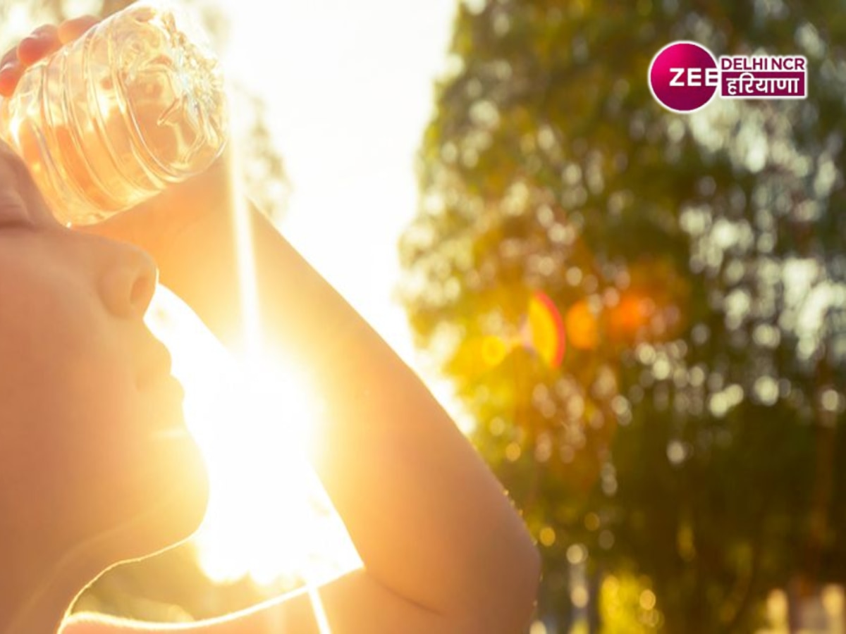 Delhi Heatwave Action Plan: दिल्ली में पड़ने वाली है भीषण गर्मी, चिलचिलाती धूप से बचने के लिए सरकार ने उठाए खास कदम 
