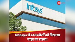 Infosys ने अचानक 240 लोगों को दिखाया बाहर का रास्ता! जानिए आखिर क्यों लिया फैसला