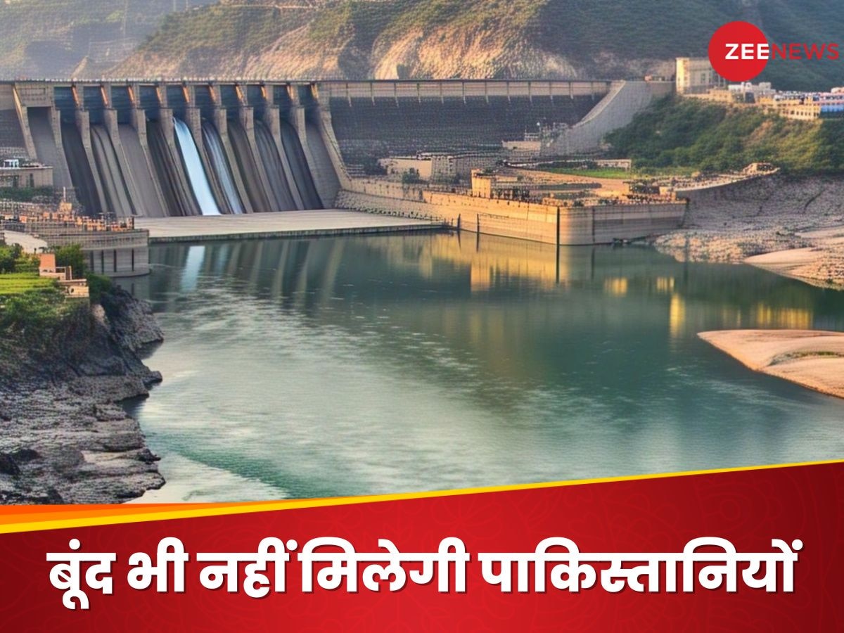 Indus River Treaty: सूख जाएगा पाकिस्तान का गला, नहीं मिलेगी पानी की एक बूंद; भारत चलाएगा 'धारा 62' का चाबुक
