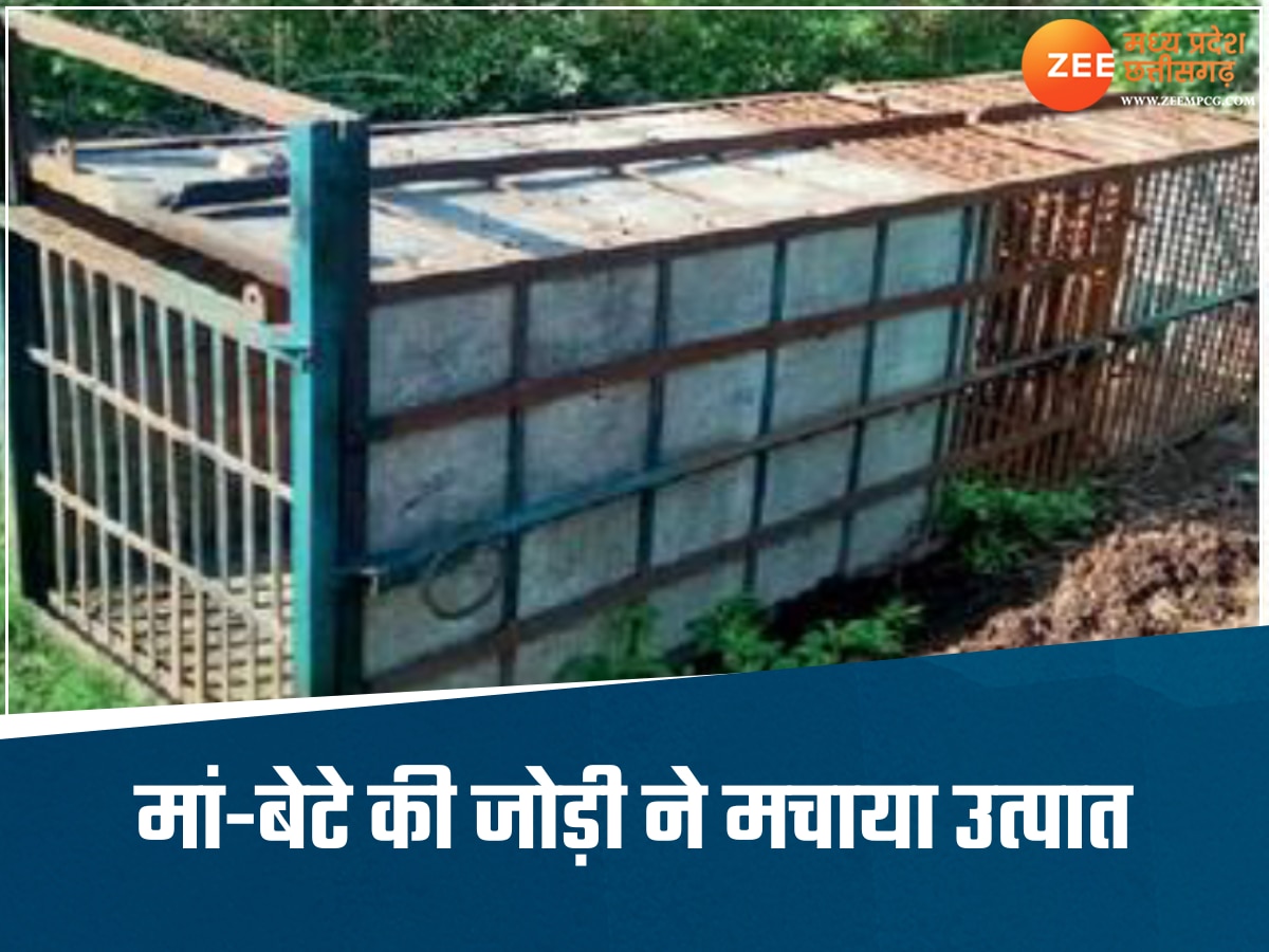 कौन है वो जिसने उड़ाई थी कलेक्टर-एसपी की नींद, इंदौर से बुलानी पड़ गई 'स्पेशल टीम', जानकर नहीं होगा यकीन