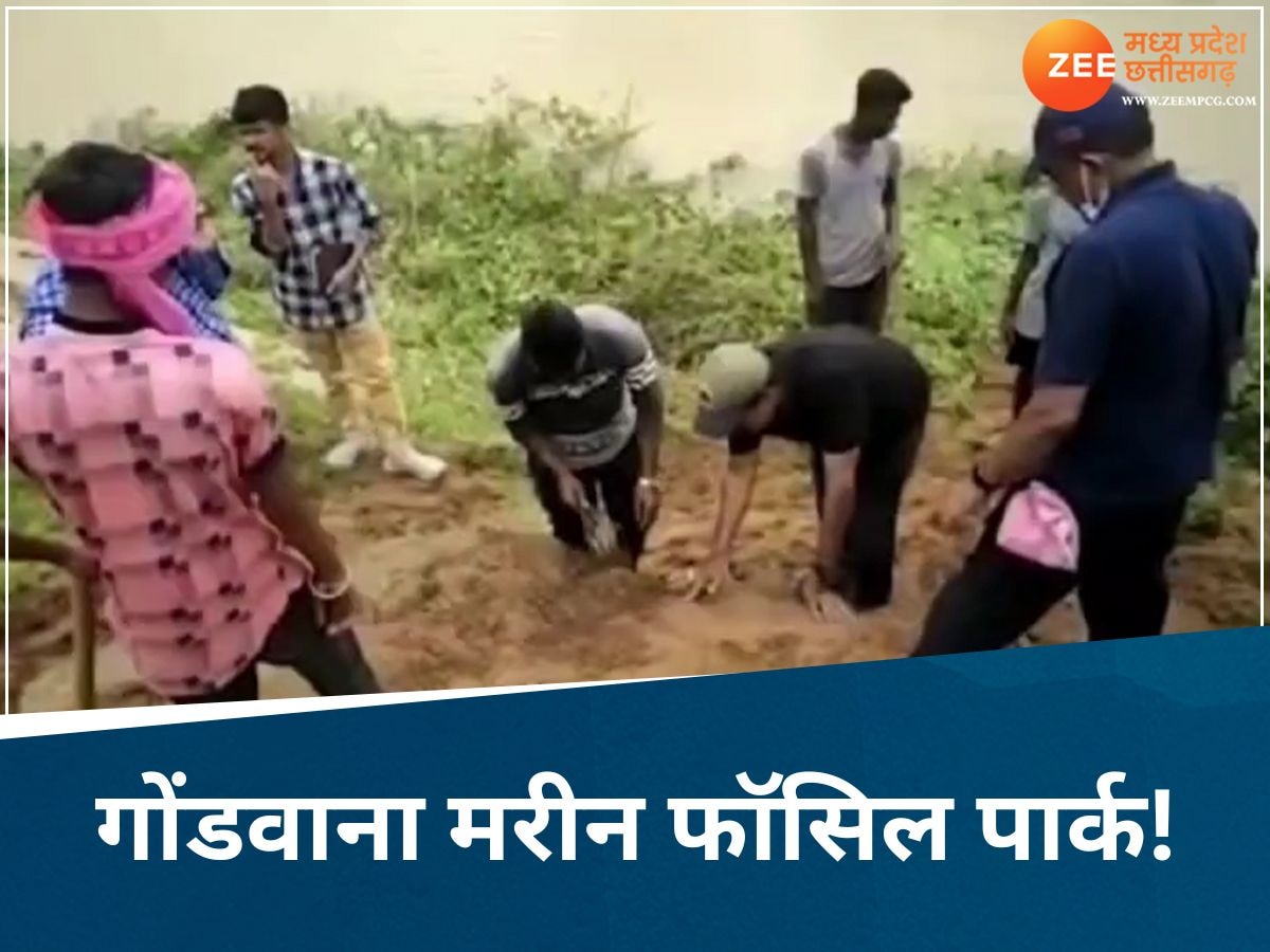 कहां है गोंडवाना मरीन फॉसिल पार्क? जहां मिले हैं 29 करोड़ वर्ष पुराने जीवाश्म