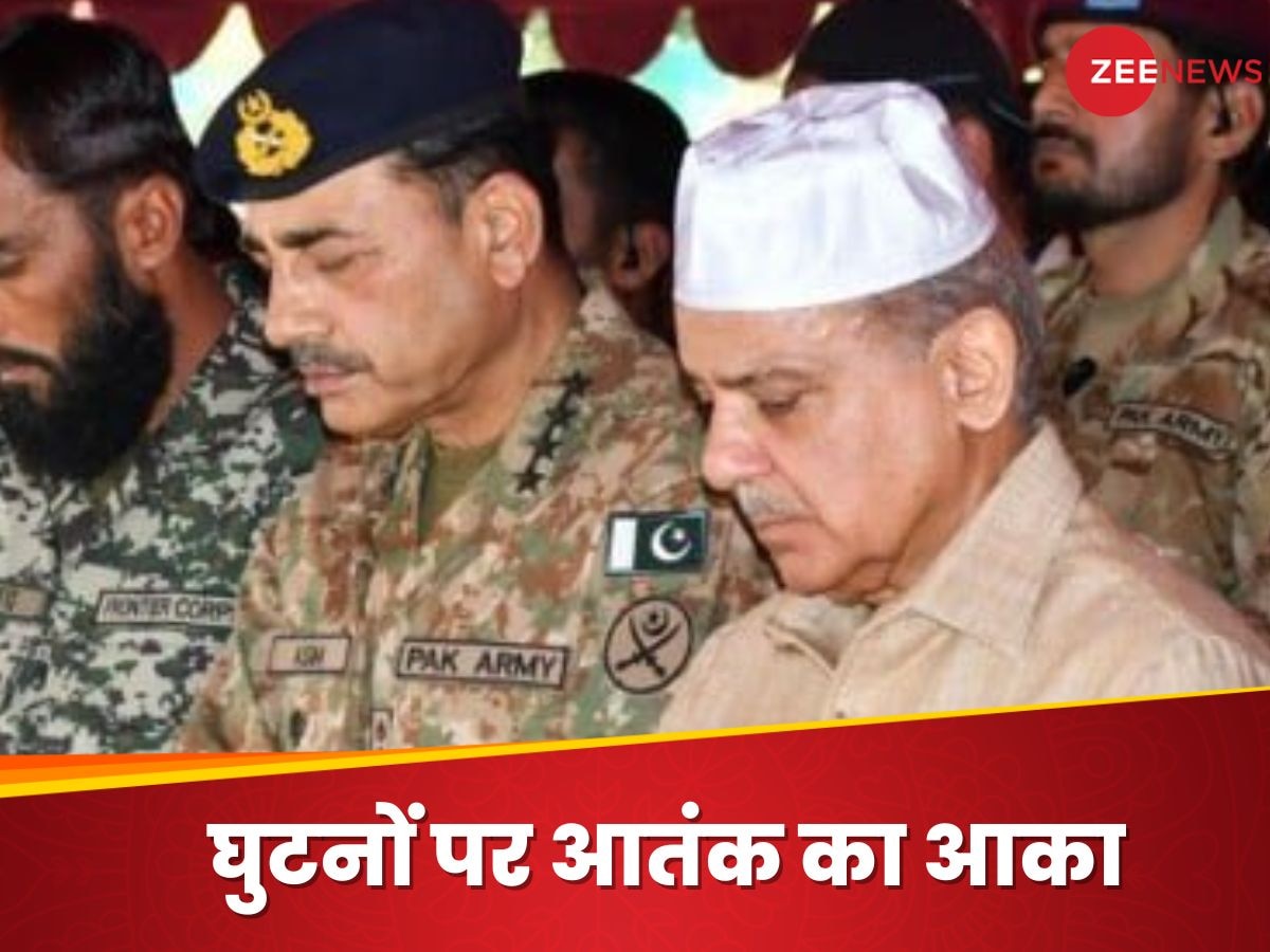 48 घंटे वाली खबर से घबराया PAK.. पहलगाम पर किया ये ऑफर, मिमियाते हुए क्या बोले शहबाज