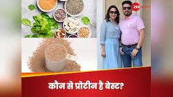 प्लांट प्रोटीन या व्हे प्रोटीन? माधुरी के पति डॉ. नेने ने बताया क्या है बेहतर