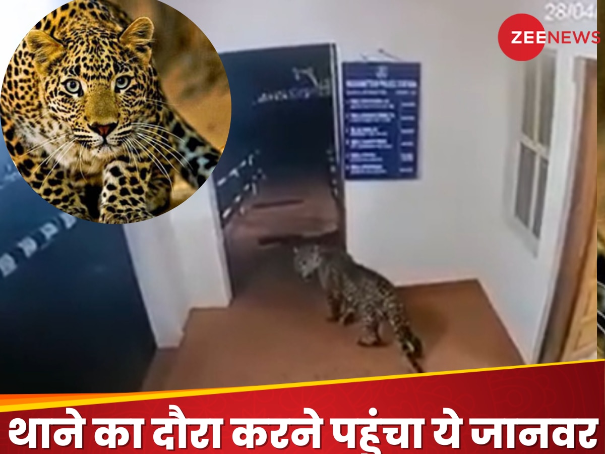 Video: अचानक थाने में घुस आया खूंखार जानवर, हलक में अटक गई पुलिसवालों की जान और फिर...