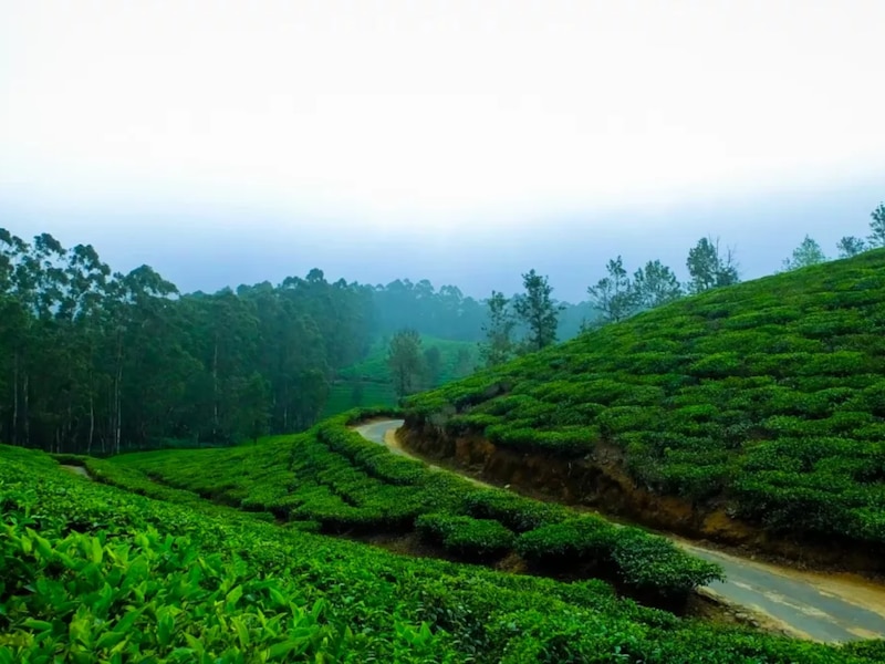 mp tourism Kashmir alike beauty in betul kukru khamla known as mini ...