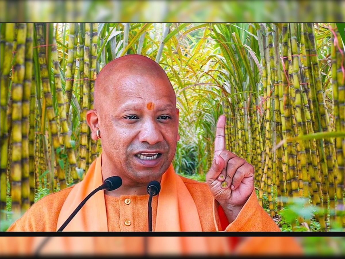 यूपी के गन्ना किसानों के लिए खुशखबरी, केंद्र सरकार ने लाभकारी मूल्य बढ़ाया, जानें अब कितने रुपये प्रति क्विंटल मिलेगा दाम